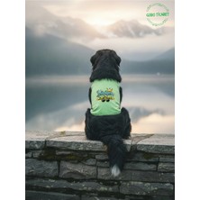 Gobo Yürüyen Karizma Desenli Kedi ve Köpek Kıyafeti–sevimli Evcil Hayvan Tişörtü Elbisesi, Farklı Renk