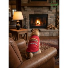 Gobo Superstar Desenli Kedi ve Köpek Kıyafeti– Renkli Sevimli Evcil Hayvan Tişörtü Elbisesi , Farklı Renk