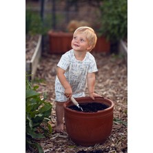 Antebies Bambu Sustainable Mavi Balık Desenli Çıtçıtlı Kısa Kollu Şortlu Erkek Bebek Tulum