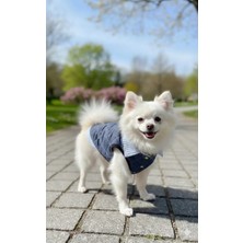 Patilemece Mavi Trençkot Kedi Köpek Gömleği