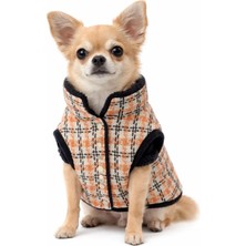 Patilemece Turuncu Lacivert Kedi Köpek Gömleği