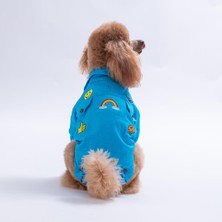 Pawstar Turkuaz Cancun - Cancún Ceket Gabardin Çıtçıtlı Kedi Köpek Ceketi Kedi Köpek Kıyafeti Kedi Köpek Elbisesi