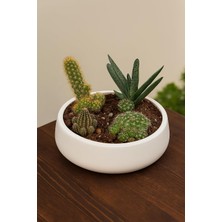 Lümin Modern Beyaz Dekoratif Kase – El Yapımı Minimalist Tasarım