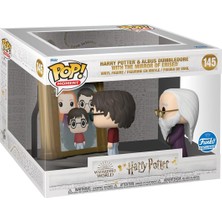 Funko 63144 Harry Potter ve Albus Dumbledore Erised Figür Aynalı Çok Renkli