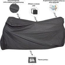 Vexo Plus Branda Siyah