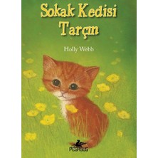 Pegasus Yayınları Pegasus Sokak Kedisi Tarçın Masal & Öykü 128 Sayfa Türkçe Holly Webb Çocuk Kitabı