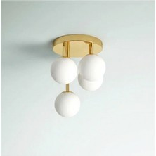 Ronisu Aydınlatma Pregarten Camlı Plafonyer Avize Ra-Avz- 3549-67-81