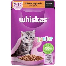 Ashwork Whiskas Jöleli Kümes Hayvanlı Yavru Konserve Kedi Maması 1 Adet 85 gr 587455