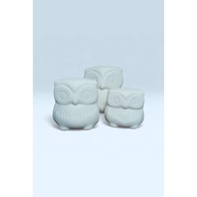 Pordizayn Çini Baykuş Takımı Bisküvi 3’lü Set