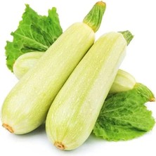 Zengarden Kolsuz Sakız Kabağı Kabak Tohumu Cucurbita Pepo