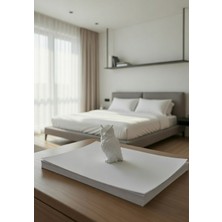 Safir Design Modern Bilge Baykuş Biblo ve Kağıt Ağırlığı - Çalışma Masası Dekoratif AKSESUAR-10CM