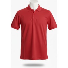 Birmont Basic Polo Yaka  T-Shirt