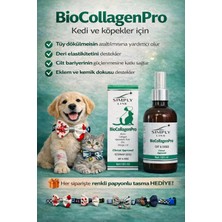 Simply Line Biocollagenpro Kedi & Köpek Için Biotin, Kolajen, Hyaluronik Asit ve Omega 3-6 Içeren Sıvı Takviye