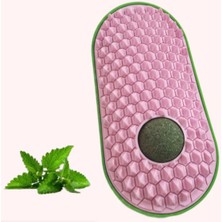 Nuveden Ieg™ Silikon Kaşıyıcılı Kedi Otu