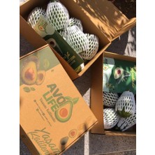 Avolife Organik Avokado