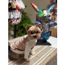 Ayıcık Desenli Köpek Kıyafeti-Teddy Pati Polar Sweat Xxl
