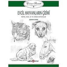 Nexa Evcil Hayvanların Çizimi - Çizim Sanatı 9: Köpek, Kedi, At ve Diğer Hayvanlar