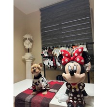 Mickey Mouse Desenli Köpek Kıyafeti-Happy Paws Mickey Sweat Xxl