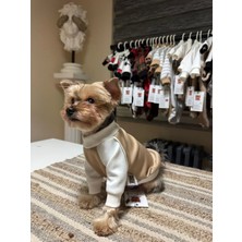 Bej Renk Basic Köpek Kıyafeti-Soft Touch Shirt L