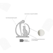 Nexa Insan ve Kedi Biblo