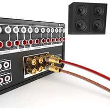 Nexa – Muz Fiş-5 Çift (6 Mm²'ye Kadar Hoparlör Kablosu Için Muz Fiş Bağlantısı, Hifi Kutusu, Amplifikatör/güç Amplifikatörü, Alıcı/stereo Sistem Esnek Bağlantısı, Vidalanabilir, Altın Kaplama)