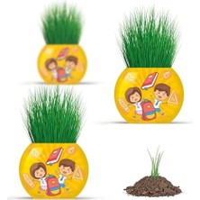 Nexa Okul Temalı Çim Adam 6'lı Set – Çocuklar Için Eğitici ve Eğlenceli Bitki Yetiştirme Kiti