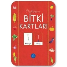 Liora Bitki Kartları