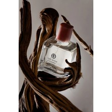 L'actone Oud Wood Eau De Parfum / Parfüm 100 ml