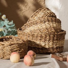 Liora Svein Hasır Düzenleyici 25X25X10