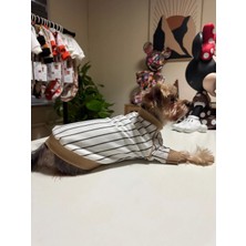 Dikey Çizgili Basic Köpek Kıyafeti - Soft Stripe Shirt M