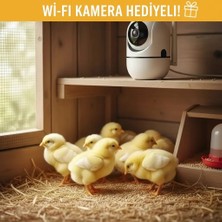 Aesco Tam Otomatik 120 Yumurta Kapasiteli Kuluçka Makinesi - Civciv Kaz Hindi Ördek Için Kablosuz Kameralı Yedek Motorlu Set ( Lisinya )