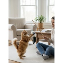 Majoris Fareli Kedi Oltası