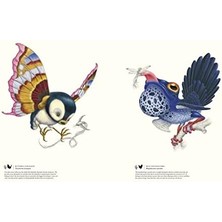 Liora Terra Ultima: The Discovery Of A New Continent