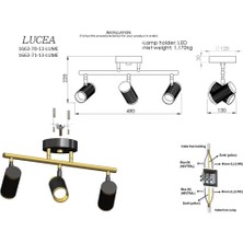 Liora Vıtale 3 Lu Siyah-Antık Lak Plafonyer 3XGU10
