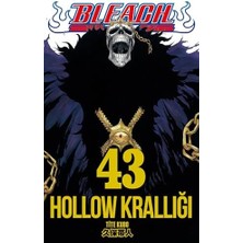 Liora Bleach 43. Cilt