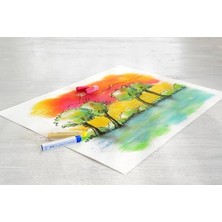 Nexa Studio Toz Pastel Boya (Soft), 36 Renk