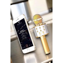 Aesco Şarjlı ve Uzun Pil Ömürlü Karaoke Mikrofon USB Bellek Destekli, Profesyonel Ses - Lisinya