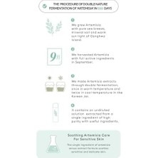 Liora Hassas Ciltler Için Kızarıklık Karşıtı Bakım Sunan Konsantre Ampul Artemisia Calming Ampouler 75ML