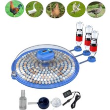 Aesco 80/240 Kapasiteli Çift Viyollü Kuluçka Makinesi Kaz Ördek Tavuk Bıldırcın Kuşlar Için ( Lisinya )