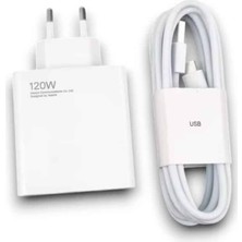 Aesco 120W Şarj Aleti - Lisinya