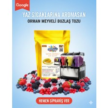 Aromasan Orman Meyve Aromalı Buzlaş Tozu 1250 gr