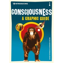 Velora Introducing Consciousness: A Graphic Guide