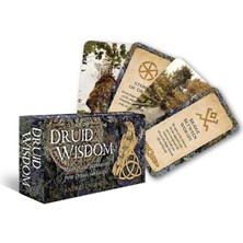 Velora Druid Wisdom (Kapak Resmi Değişebilir)