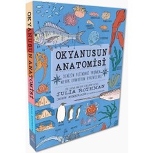 Velora Okyanusun Anatomisi