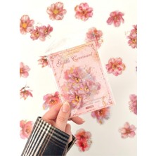 Kağıt Gemi Vintage Romantic Floral Altın Yaldızlı Pembe Çiçekler 20 Adet Sticker Seti/etiket/çıkartma