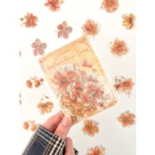 Kağıt Gemi Vintage Romantic Floral Altın Yaldızlı Turuncu Çiçekler 20 Adet Sticker Seti/etiket/çıkartma