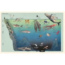 Velora Oceanarium (Junior Edition)