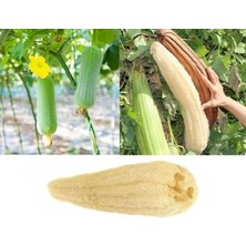 Velora Doğal Kabak Lifli Kese Banyo Eldiveni–çift Taraflı Vucüt Kesesi Peeling ELDIVEN,15X23 Cm,exfoliating Rovin Kumaş, Cilt Temizleyici Yenileyici Canlandırıcı Etki, Selülit Karşıtı,hücre Yenileme