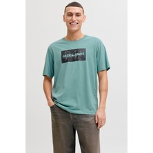 Jack & Jones Jjcole Print Erkek Tişört Bisiklet Yaka Kısa Kollu