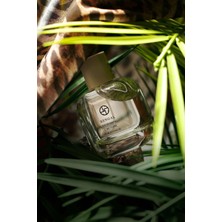 L'actone Bengal Eau De Parfum - 573 / Parfüm 100 ml